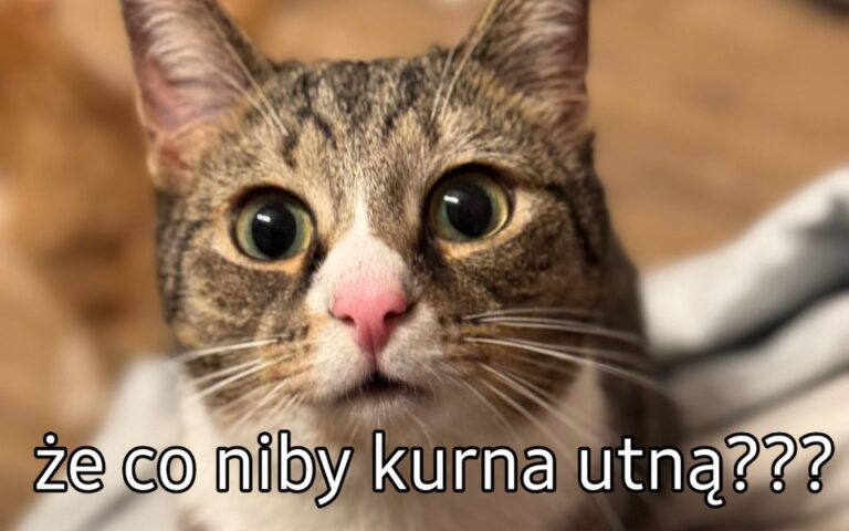 Wykastruj EX na&nbsp;Walentynki 🤪