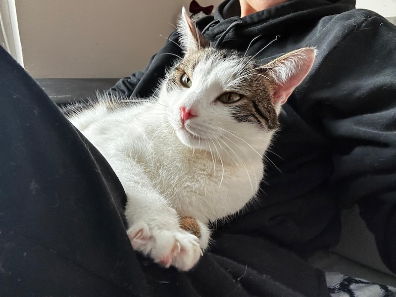 Marko