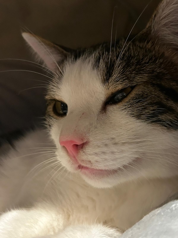 Marko