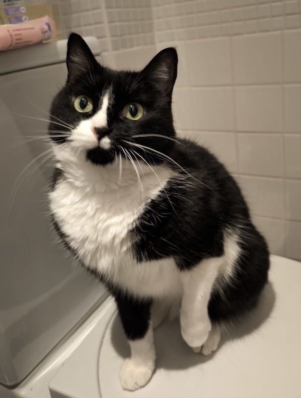 Kiki